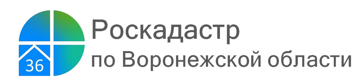 Воронежцев бесплатно проконсультируют по вопросам межевания и электронным услугам.